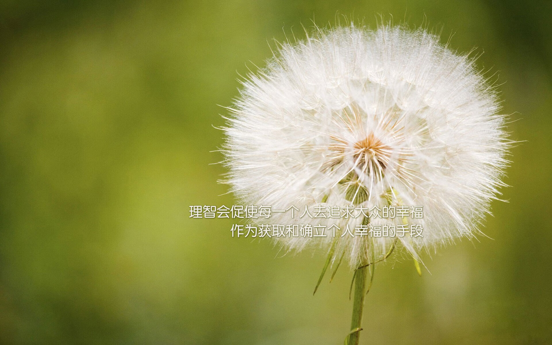 9游电竞资讯-2019年总决赛第4场:库里在第一节就投进连续两个长距离三分,开启“火力模式”